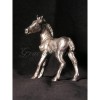 Foal - standing